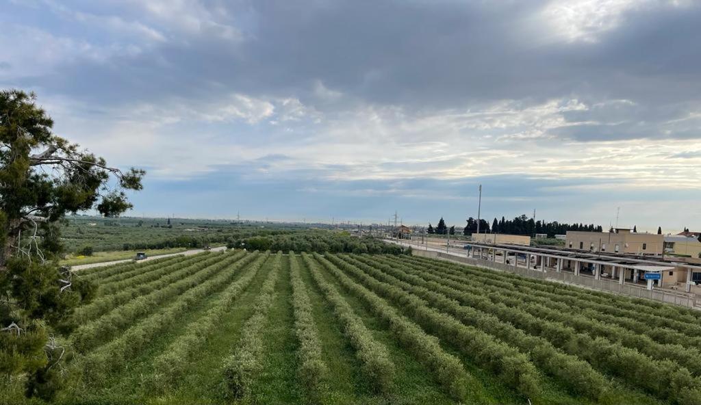 Villa Nascente Bitetto Zewnętrze zdjęcie